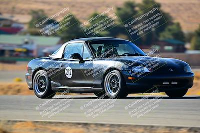 media/Nov-16-2024-Extreme Speed (Sat) [[6587d07cc4]]/Gold Group/Session 1 (Turn 2)/
